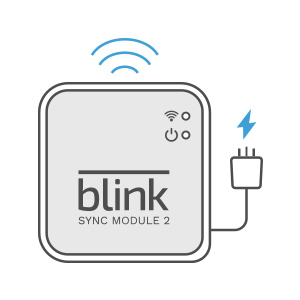 Blink Outdoor