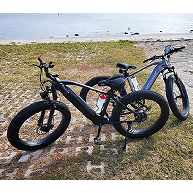 electric bicycle