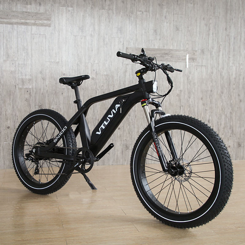 264.0 750W 1000W big power Fat tire electric Mountain E bikeSnow bikeelectric bicycle with CE
