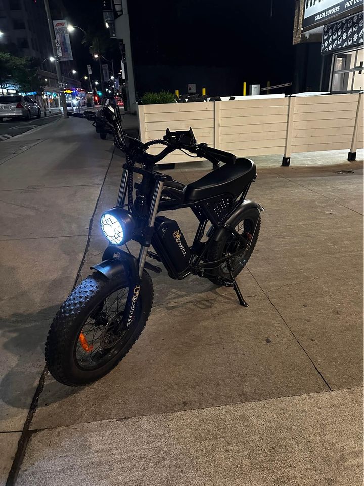 E bike