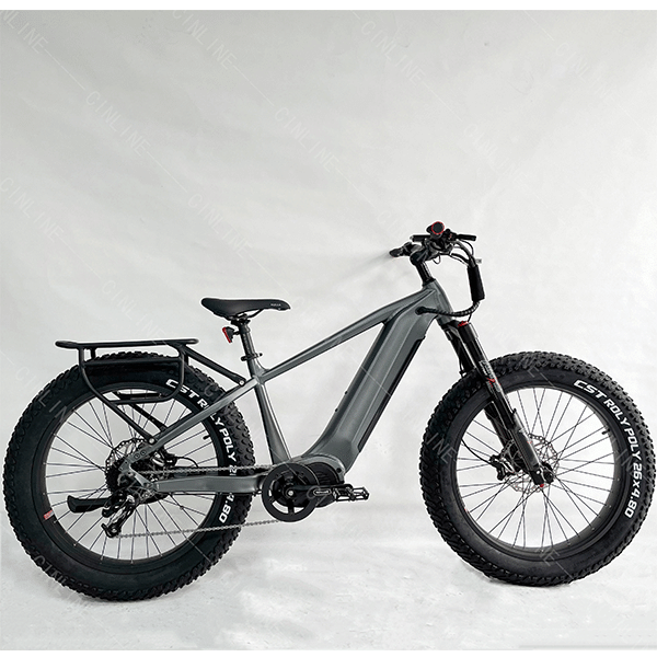 Fat tire Ebike long range easy rider central motor mountain electric bikes 48V 1000W