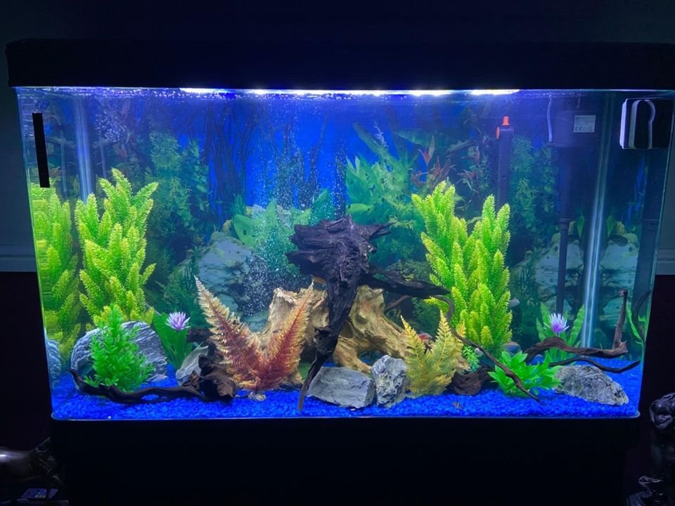Large Aquarium Aquarium 4ft 300L Marine Tropical Saltwater Freshwater