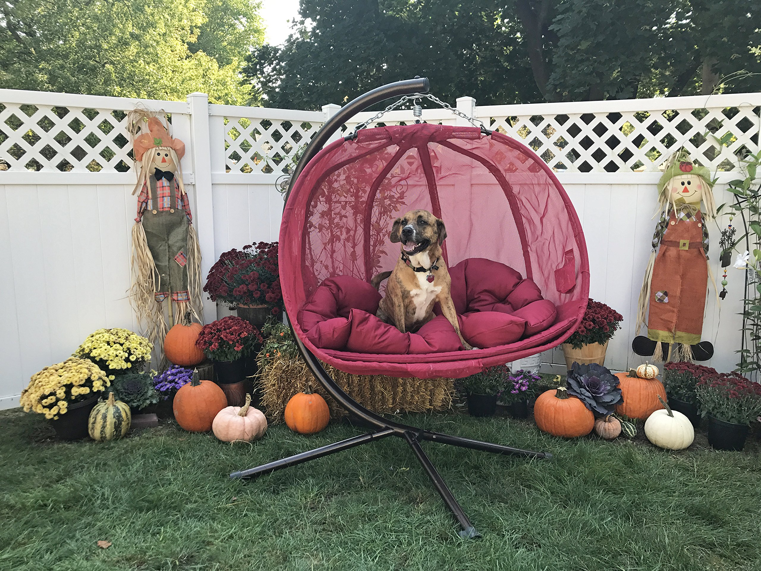【Home&Garden】Hanging Pumpkin Loveseat Chair with Stand