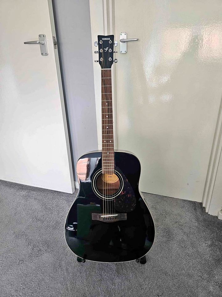 F370 guitar