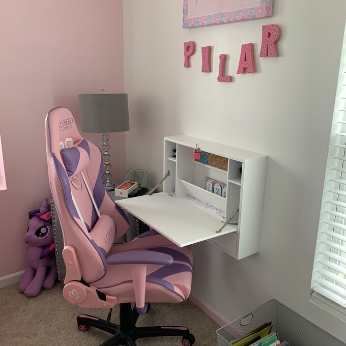 【Furniture】PC & Racing Game Chair