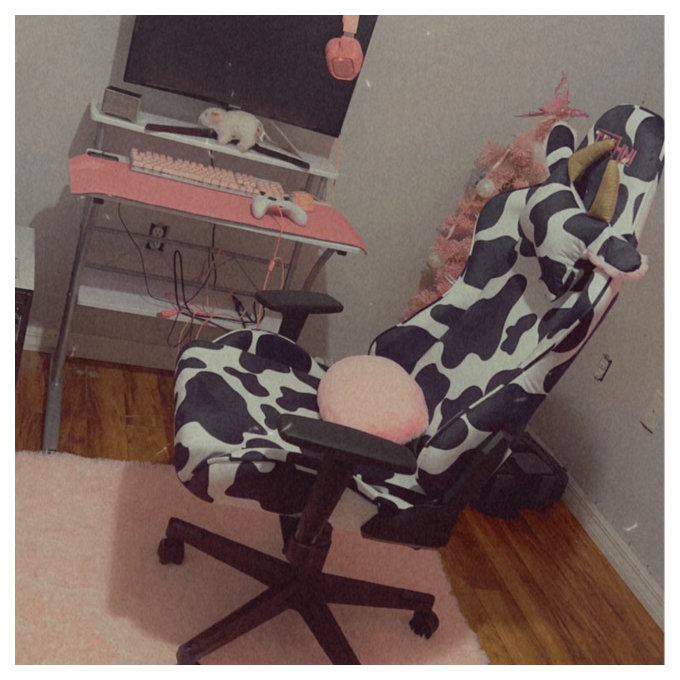 【Furniture】PC & Racing Gaming Chair