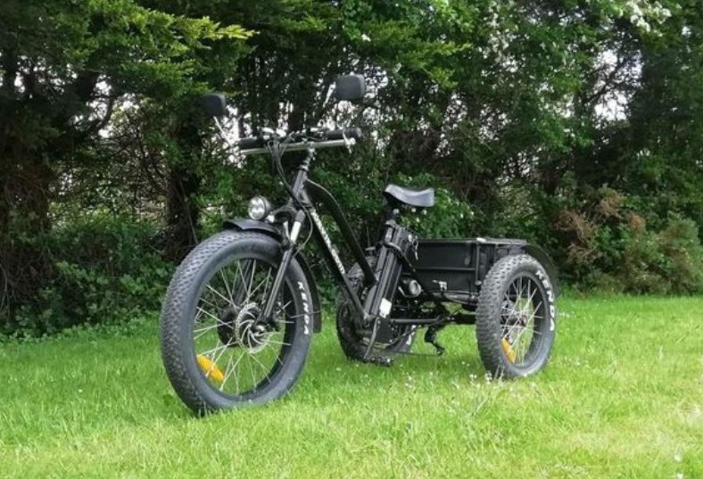48V 1000W snowmobile Electric three-wheeled fat ebike 20-24inch wheel electric CARGO ebike