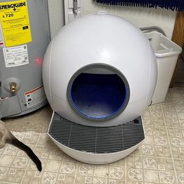 Self-Cleaning Cat Litter Box Extra Large Automatic Cat Litter Box with APP Control & Safe Alert