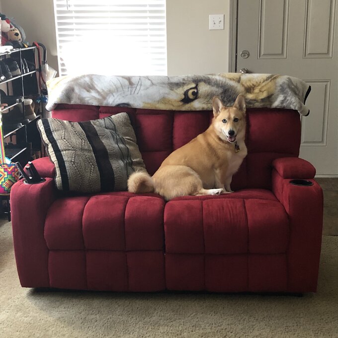 【Furniture】Grigor 57.5'' Wide Home Theater Loveseat with Cup Holder