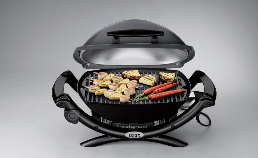 Mauricio Alexis · Weber Q1400 Electric Grill, Gray.