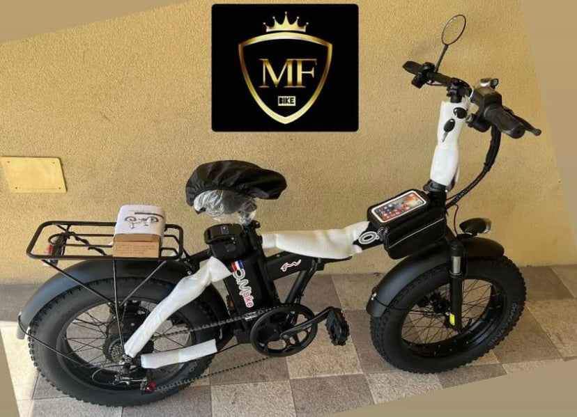 Bici elettrica Fat bike