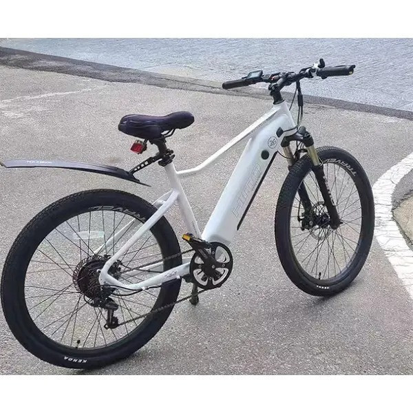 Electric Bike (NN)