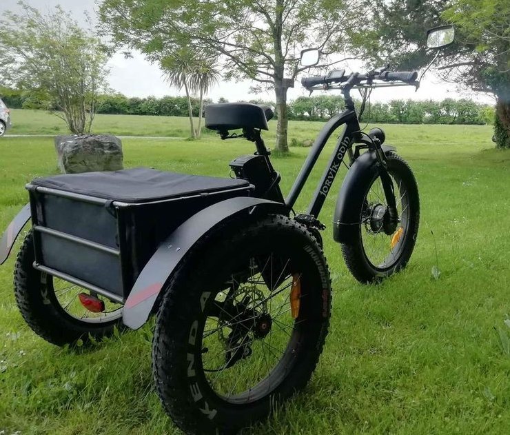 48V 1000W snowmobile Electric three-wheeled fat ebike 20-24inch wheel electric CARGO ebike
