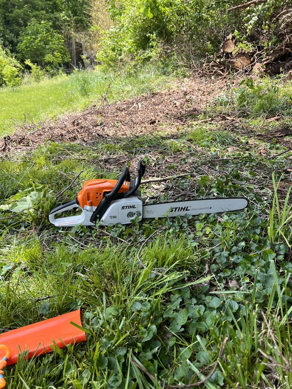 STIHL MS 291 20 inch 55.5 cc Chainsaw