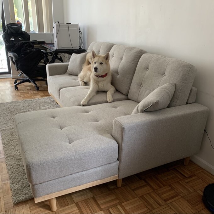 【Furniture】Jaheim 91'' Upholstered Sleeper Sofa
