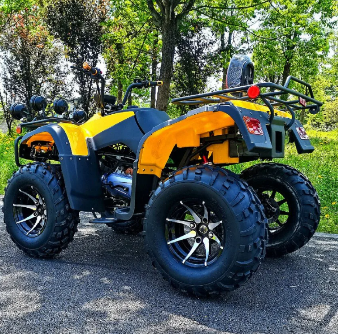 250cc Four-Wheel Drive ATV Longding Quad ATV Farmer Quad Bike