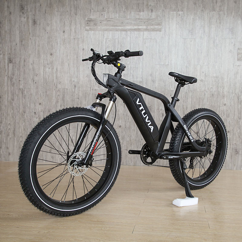 264.0 750W 1000W big power Fat tire electric Mountain E bikeSnow bikeelectric bicycle with CE