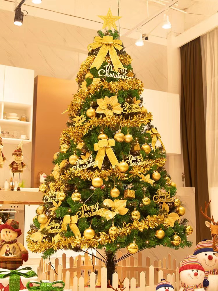 (two) Christmas Tree package large household luminous decorations