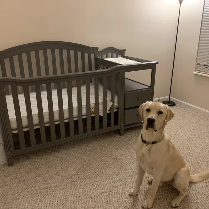 【Baby&Kids】Berkley 4-in-1 Convertible Crib and Changer