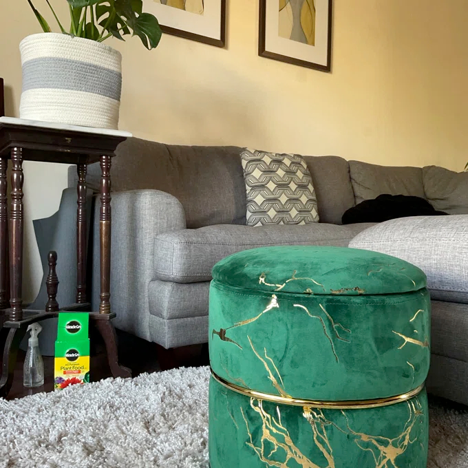 【Furniture】Lilly-Eve Upholstered Storage Ottoman