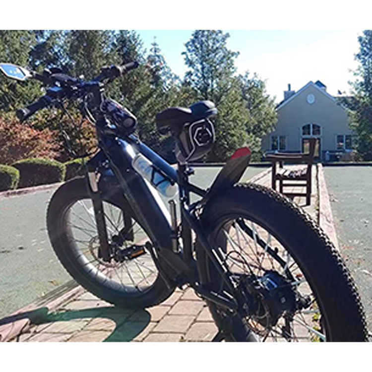 electric bicycle