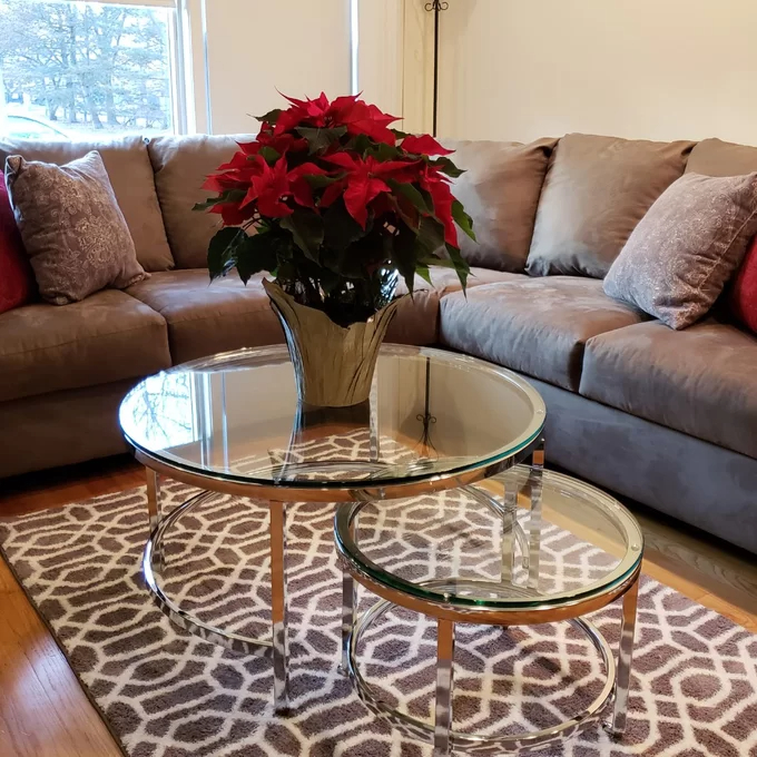 【Furniture】Cambrie 2 Nesting Tables